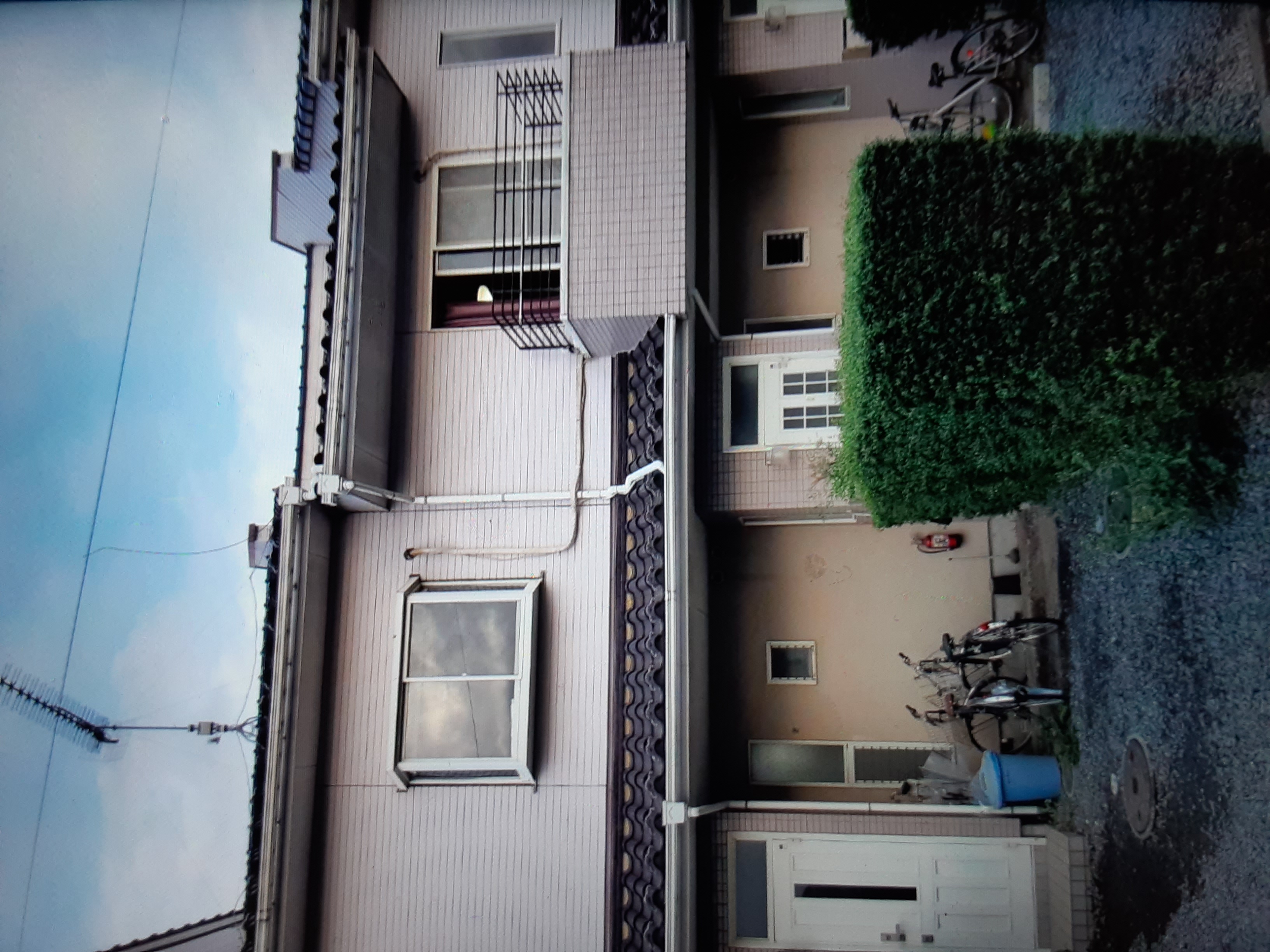 サニー砂川