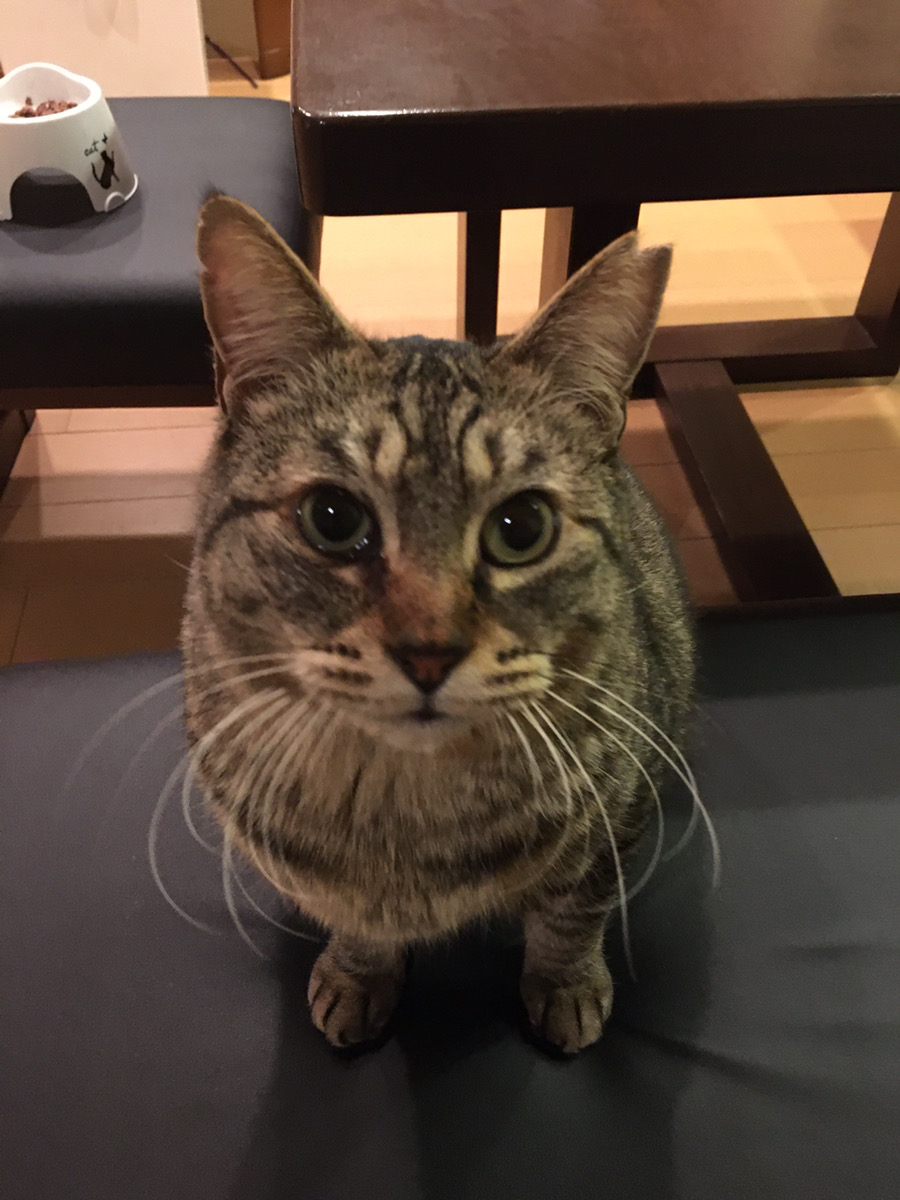 グループホームかのん
