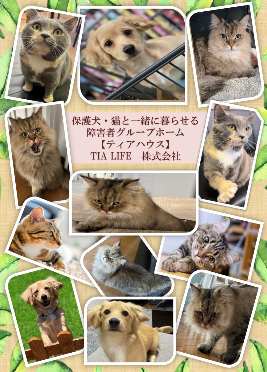 ティアハウス  田町